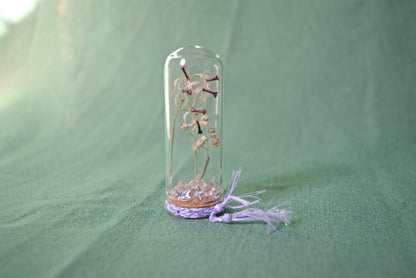 Real Bottled Flowers ~ Small cloche bell