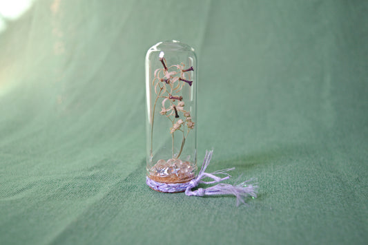 Real Bottled Flowers ~ Small cloche bell