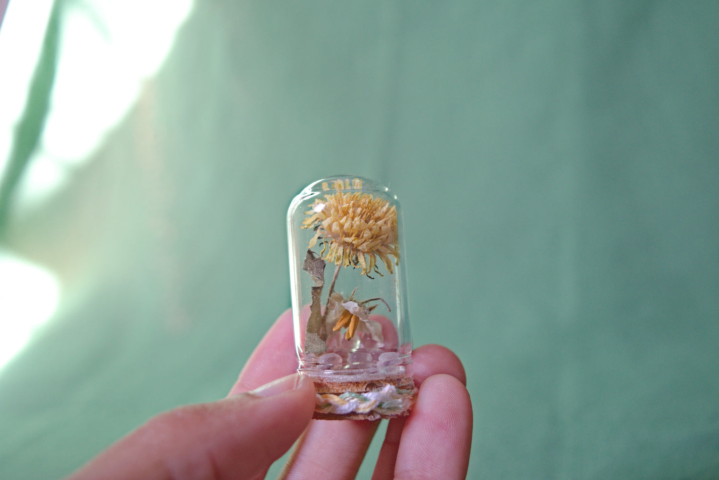 Real Bottled Flowers ~ Small cloche bell