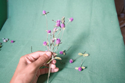 Dried Globe flowers ~ Gomphrena globosa bundle