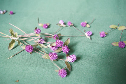 Dried Globe flowers ~ Gomphrena globosa bundle