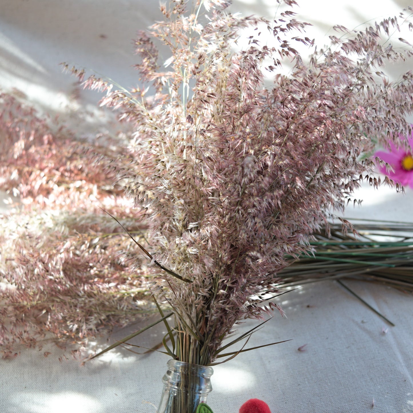 Preserved Silk Grass {Bunch} ~ Melinis repens
