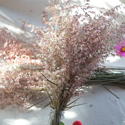 Preserved Silk Grass {Bunch} ~ Melinis repens