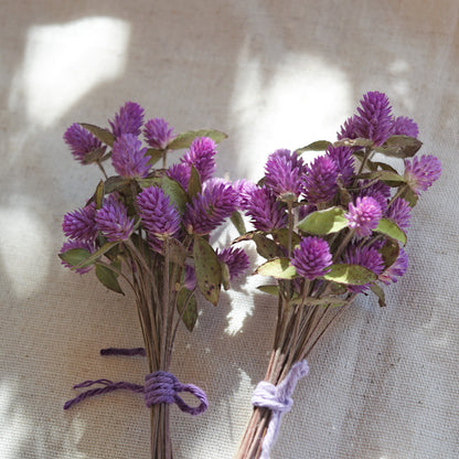 Dried purple globe flowers with leaf {Bunch} ~ Gomphrena globosa