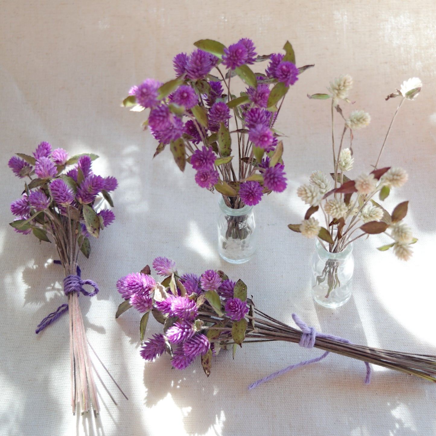 Dried purple globe flowers with leaf {Bunch} ~ Gomphrena globosa