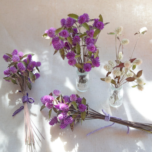 Dried purple globe flowers with leaf {Bunch} ~ Gomphrena globosa