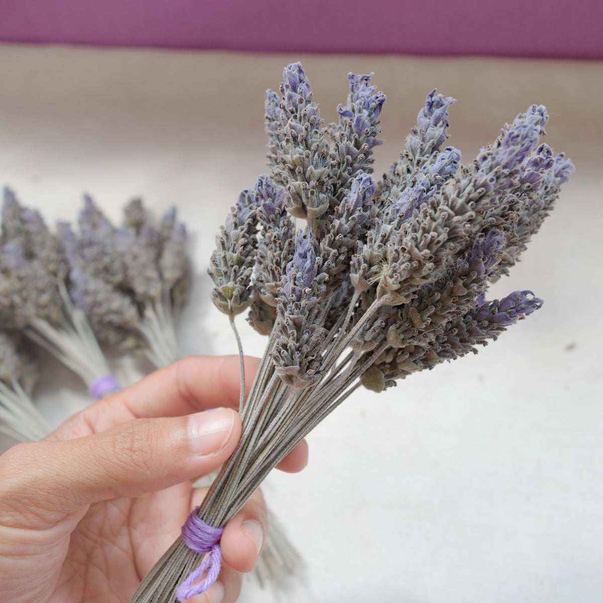 Dried purple globe flowers without leaf {Bunch} ~ Gomphrena globosa