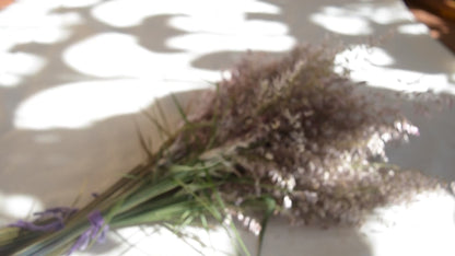 Preserved Silk Grass {Bunch} ~ Melinis repens