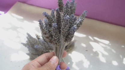 Dried purple globe flowers without leaf {Bunch} ~ Gomphrena globosa